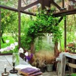 These 19 Climbing Plants will Simply Rock your Interior Design at Home