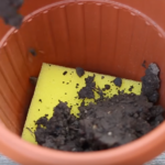 Try One of These 10 Ingenious Ways to Use a Sponge