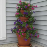 Simple Tips To Make Home Gardening A Success