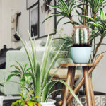 Here are 8 clever ideas to refresh your home this summer