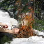 Here are all the forest survival skills you should absolutely know