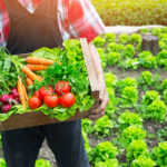 Great gardening tips for an abundant season!